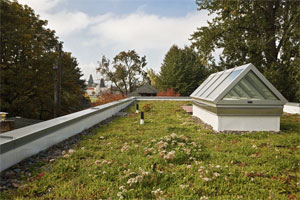 Portland green roof building