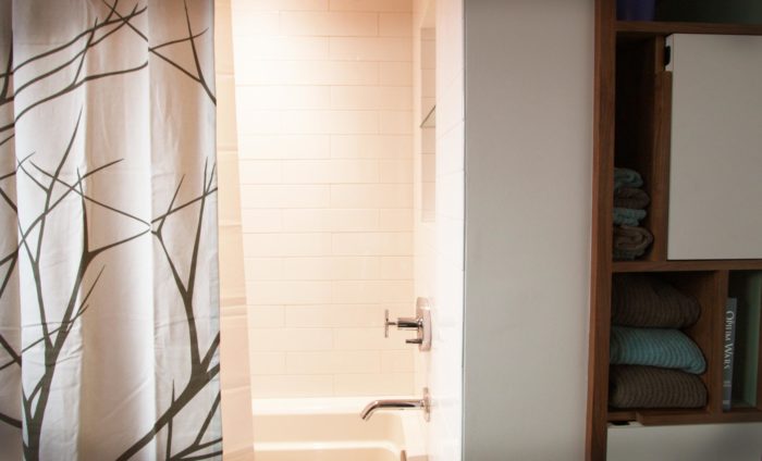 Shower in Dolph Park Bathroom Remodel