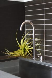 Kitchen Sink and Air Plant in Retail Studio Commercial Remodel