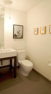 Guest Bathroom Remodel in Sylvan Highlands Home