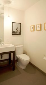 Guest Bathroom in Sylvan Highlands Home Remodel