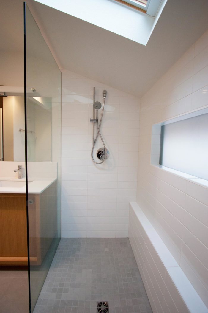 Shower and Skylight in Sylvan Highlands Bathroom Remodel