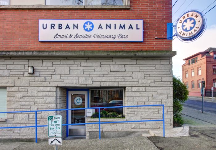 Commercial Remodel of Urban Animal Vet Clinic in Seattle WA