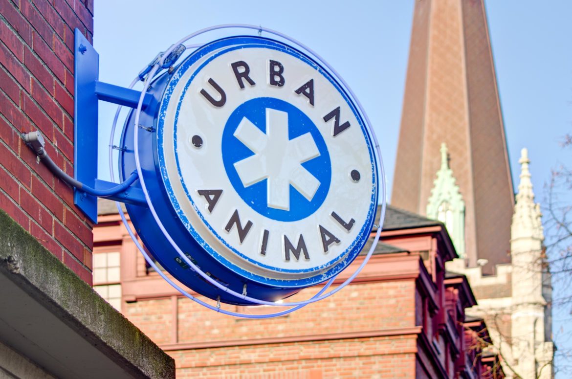 Urban Animal Commercial Construction Photos Seattle, WA