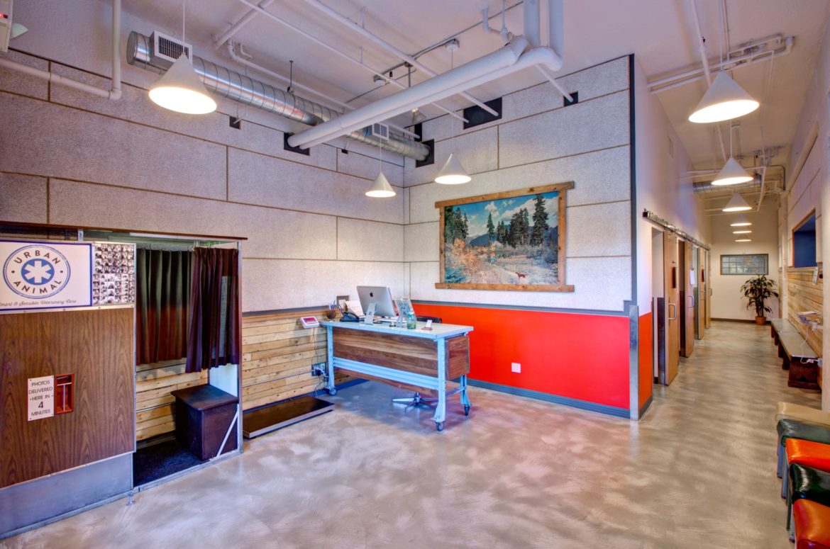 Urban Animal Commercial Construction Photos Seattle, WA