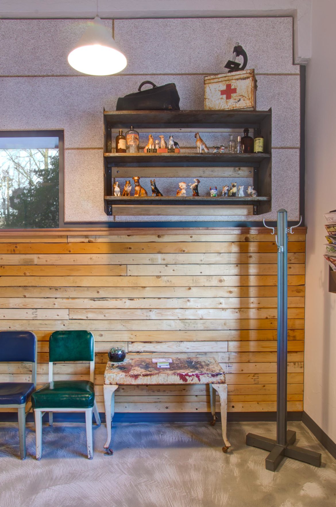 Urban Animal Commercial Construction Photos Seattle, WA