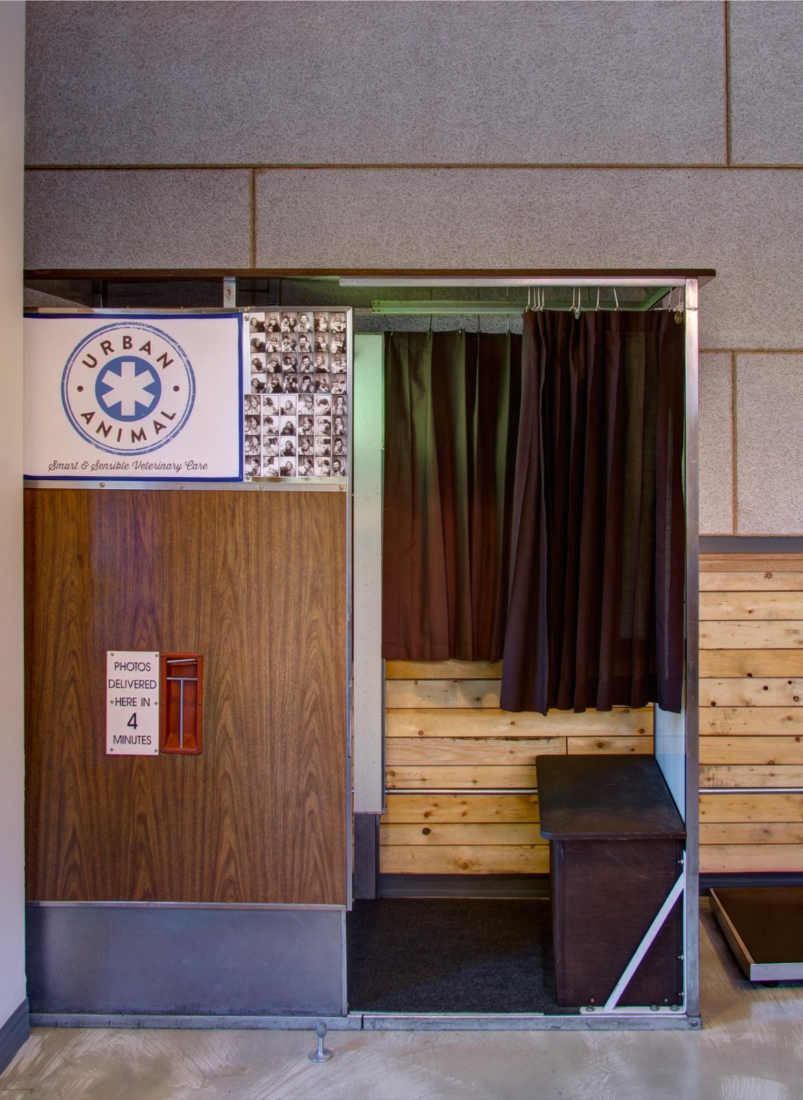 Urban Animal Commercial Construction Photos Seattle, WA