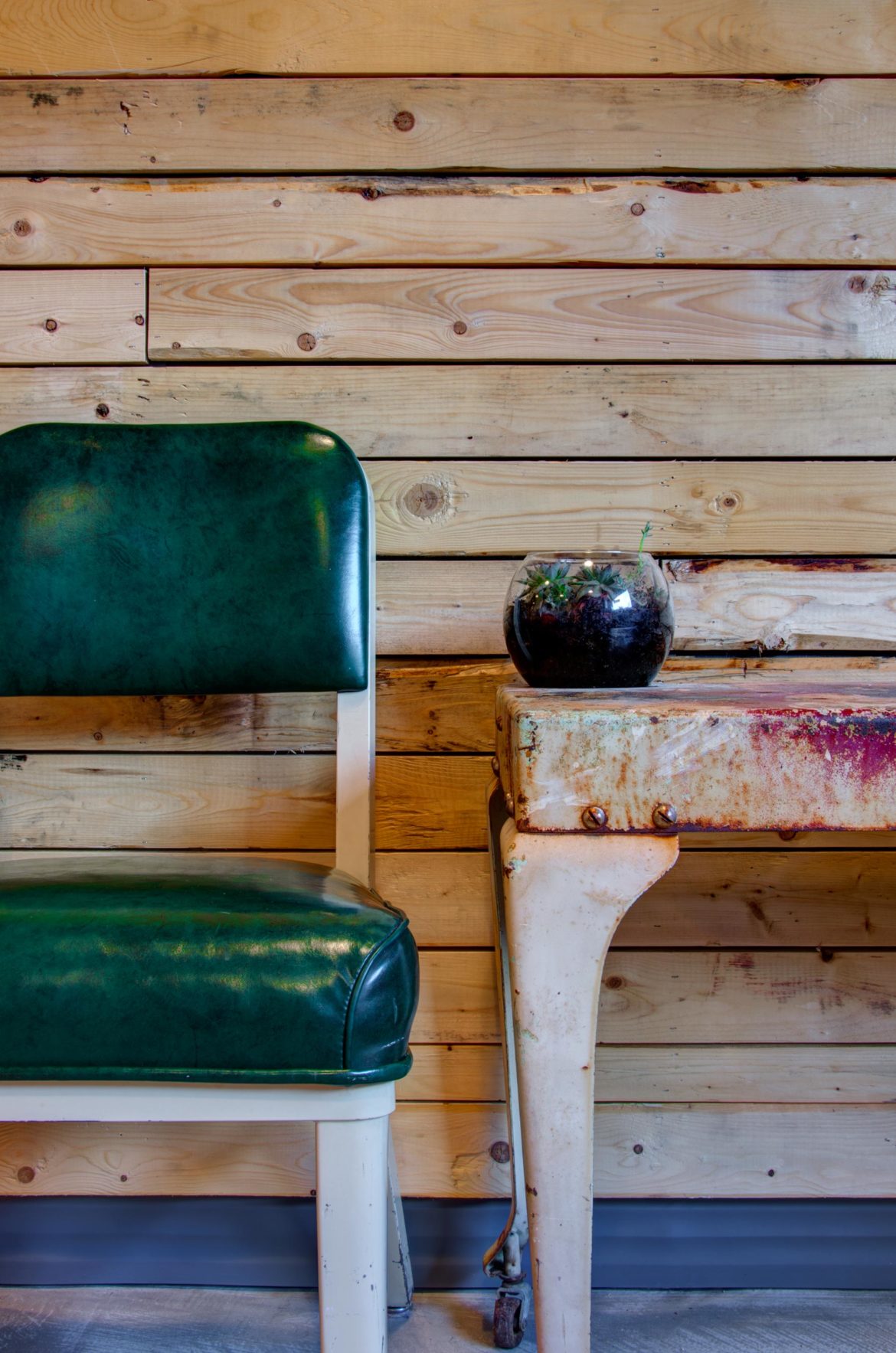 Urban Animal Commercial Construction Photos Seattle, WA