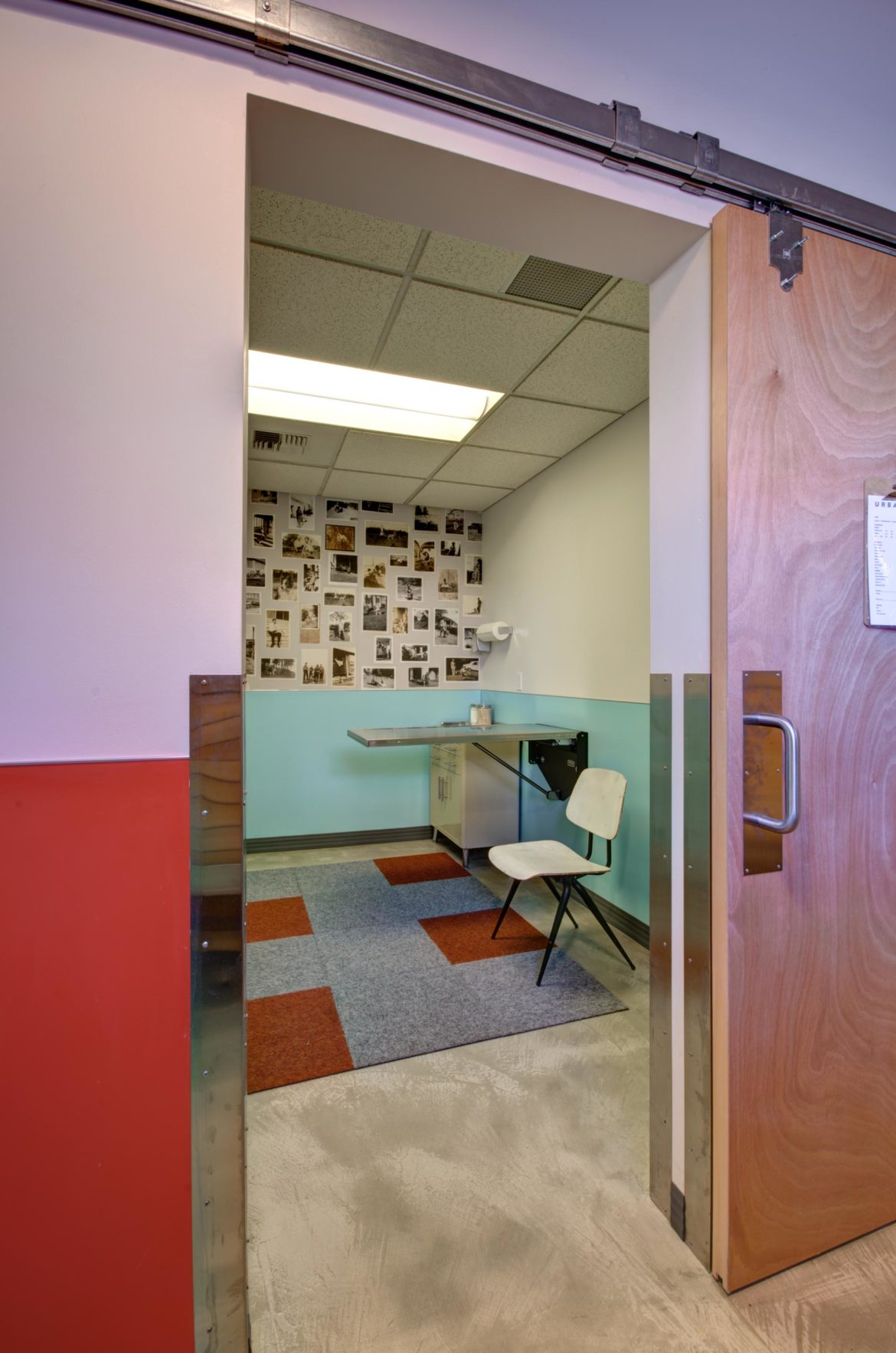 Urban Animal Commercial Construction Photos Seattle, WA