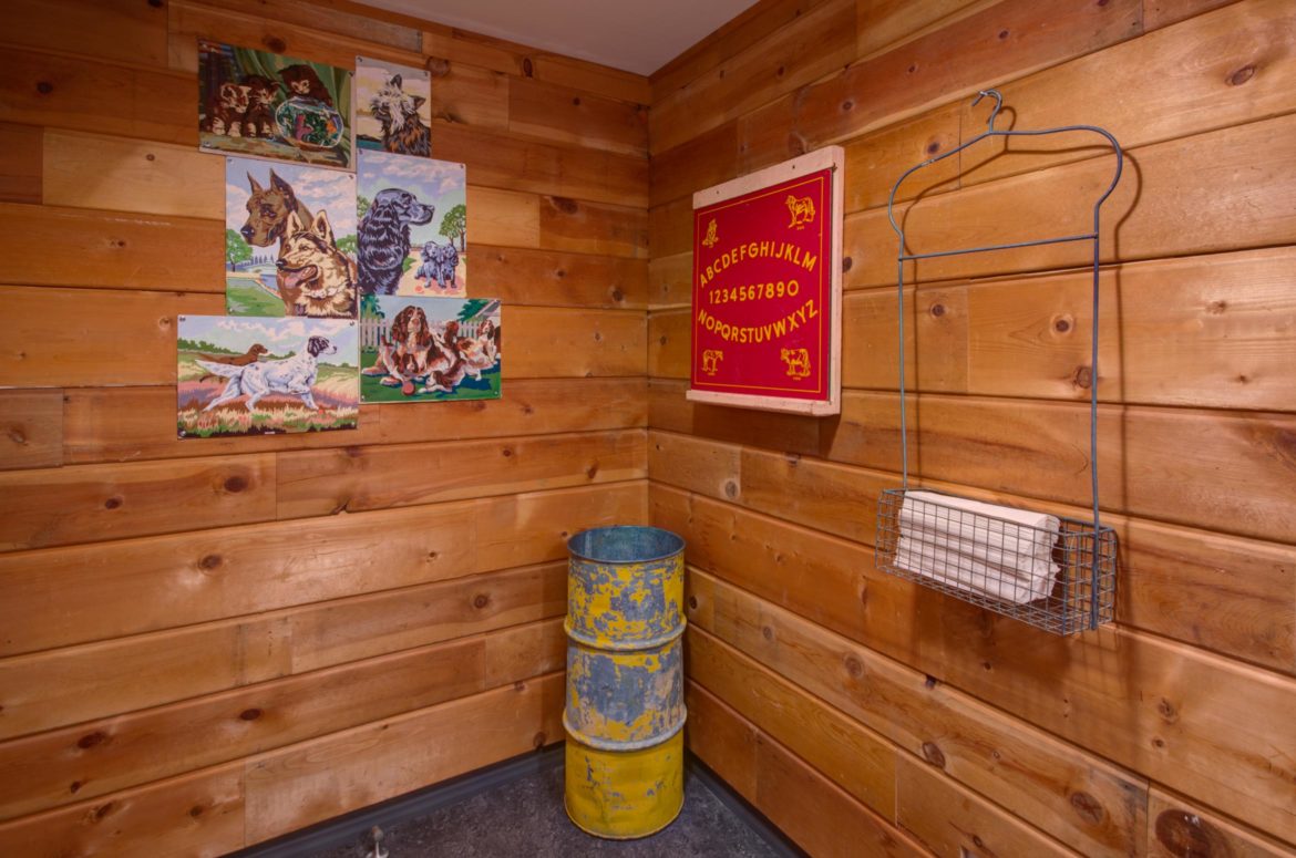 Urban Animal Commercial Construction Photos Seattle, WA