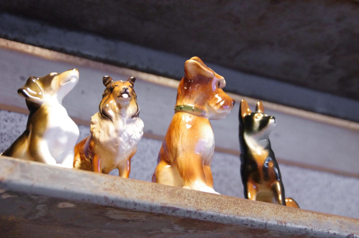 Urban Animal Commercial Construction Photos Seattle, WA