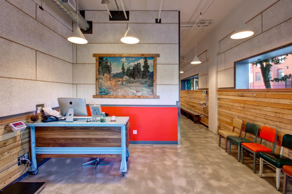 Urban Animal Commercial Construction Photos Seattle, WA