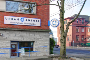 Urban Animal Veterinary TI