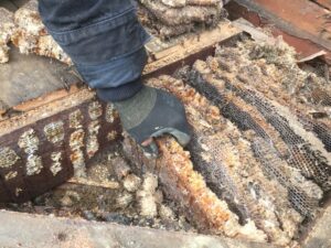 Honey Bee Hive in Deck at Portland Remodel | Hammer & Hand