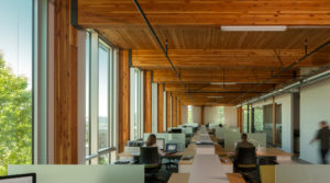 Open Work Space with Daylighting | Bullitt Center